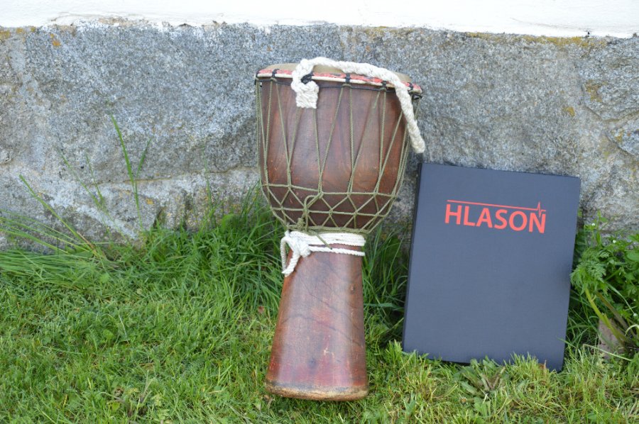 Hlasoň